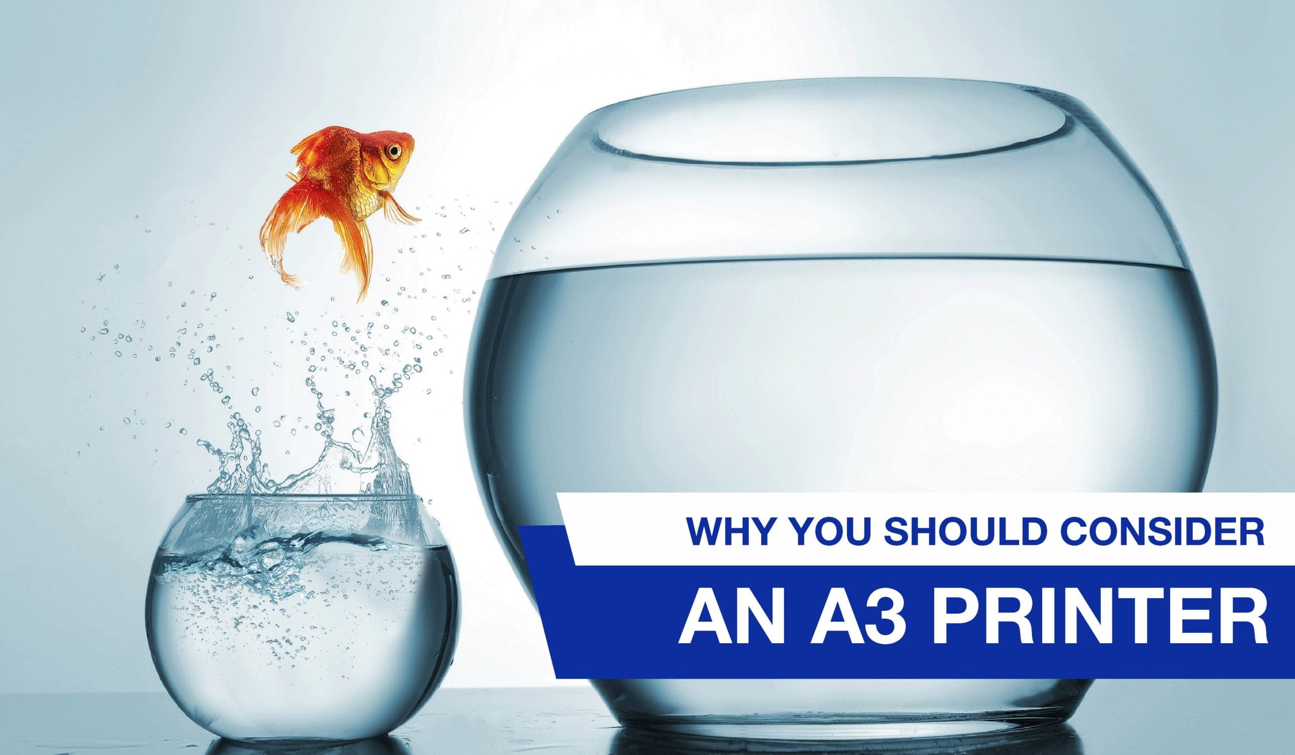 Looking for upsized possibilities? Here’s why you should consider an A3 printer.