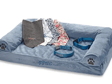 pet bed