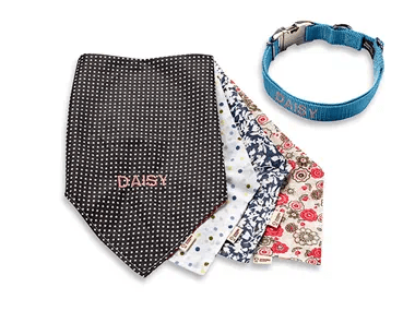 gallery pet set