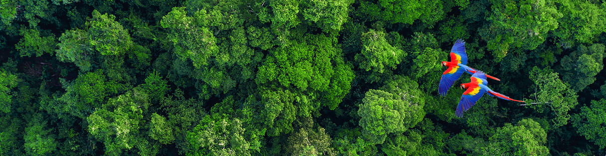 Sustainability web banner