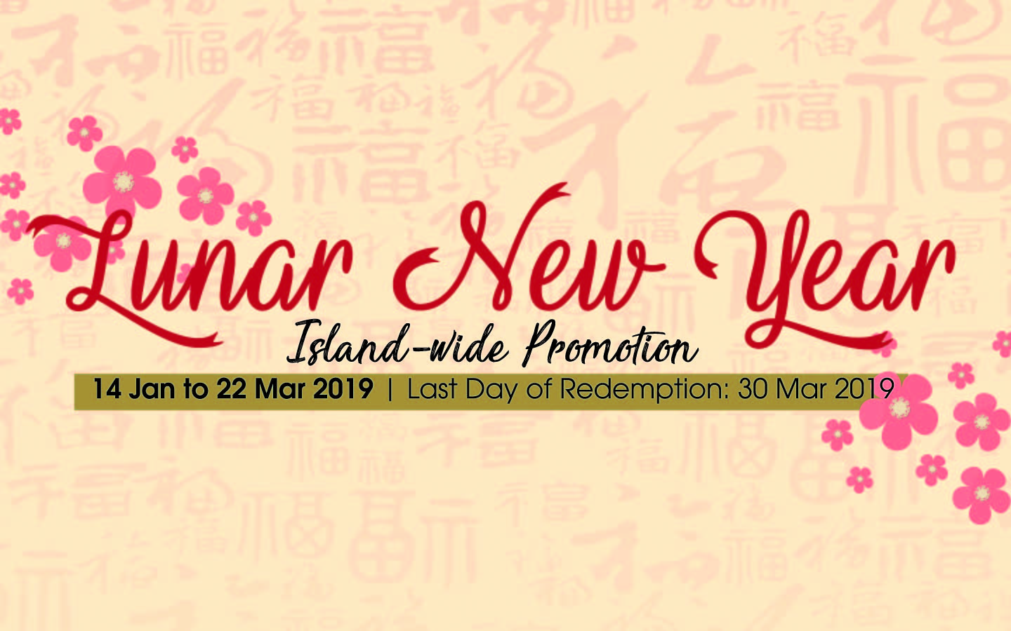 Lunar Year Year Promotion