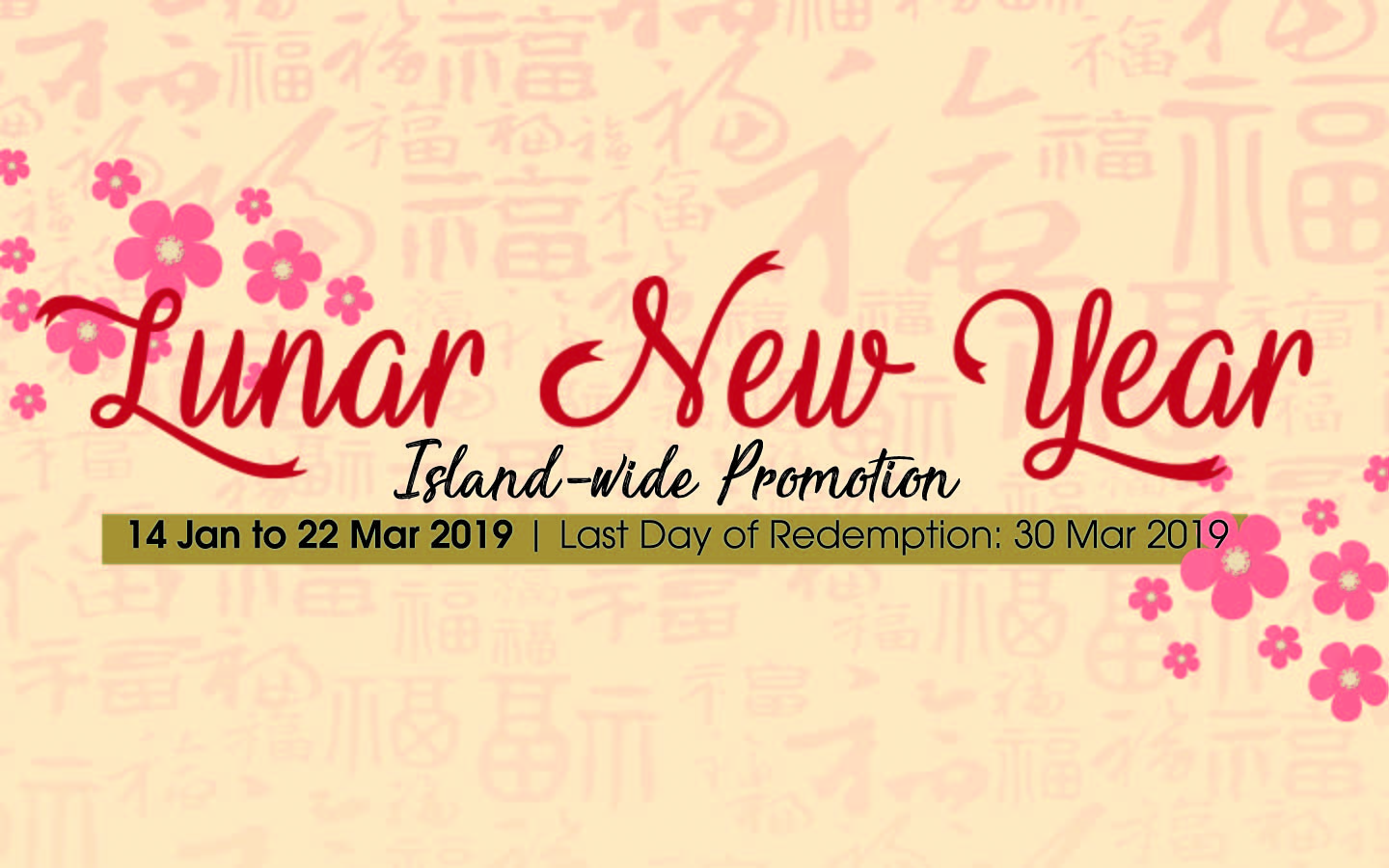 Lunar Year Year Promotion