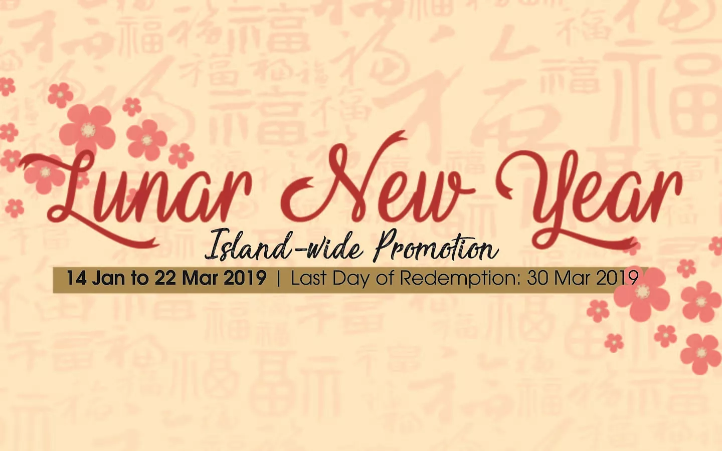 Lunar Year Year Promotion